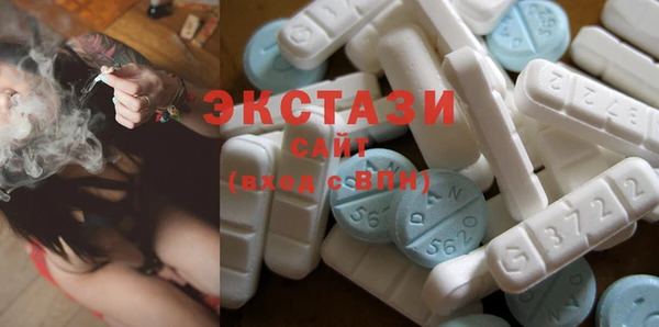 ECSTASY Алзамай