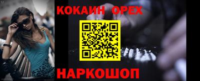 крисы Кингисепп