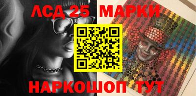 крисы Кингисепп