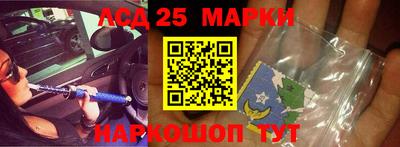 крисы Кингисепп