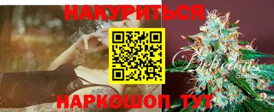 крисы Кингисепп