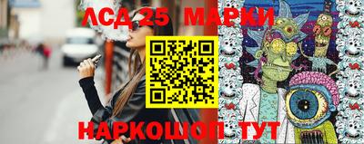 крисы Кингисепп