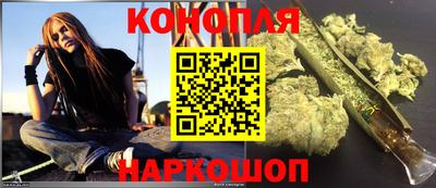 крисы Кингисепп