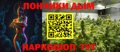 крисы Кингисепп