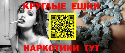 крисы Кингисепп