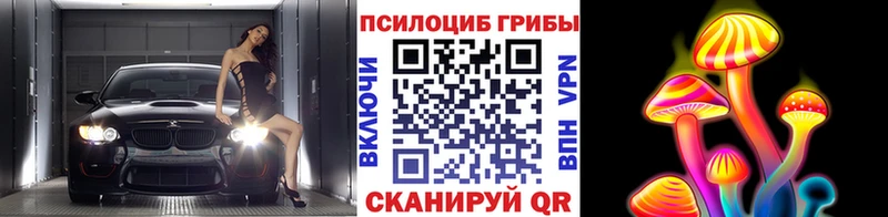Галлюциногенные грибы Psilocybine cubensis  kraken tor  Тара 