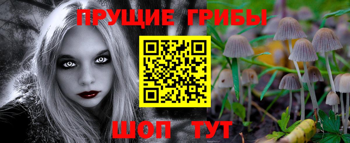 Псилоцибиновые грибы Magic Shrooms Тара