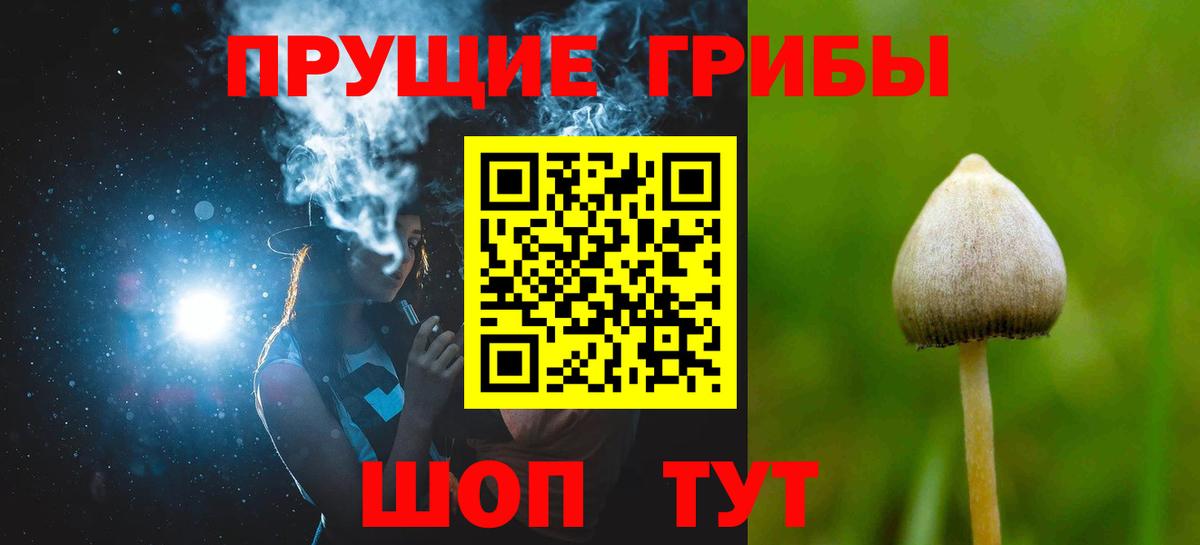 Псилоцибиновые грибы мухоморы  Вход с VPN  Тара  Галлюциногенные грибы мухоморы 